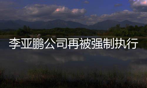 行2鹏公余万李亚制执 总万被强超4金额司再