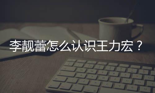 学历李靓蕾怎力宏李资料个人么认靓蕾识王