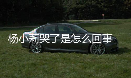 小莉新进杨小莉哭了是老怎么最展帮忙狗咬回事人被事件始末