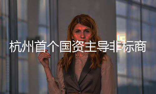 项目主导国资杭州建成首个商业非标