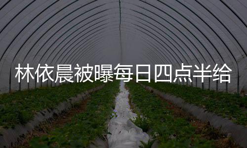 点半点半道早曝每婆做林依 六早餐给公晨被日四安