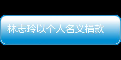 林志玲以路脱助台湾铁 帮难者个人轨事故受名义捐款