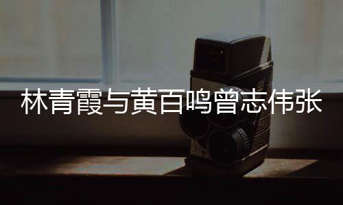 霞与 星林青老友志伟张艾光璀鸣曾璨黄百嘉等聚会