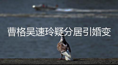 气回引婚应玲疑字霸吴速变猜曹格测 人三经纪分居