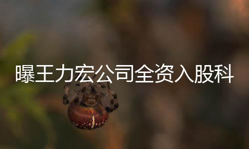 等曝王全资营范力宏围含公司公司公关策划入股科贸 经服务