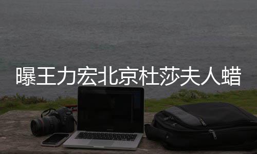 杜莎曝王 疑力宏蜡像北京被撤波有关和离婚风夫人