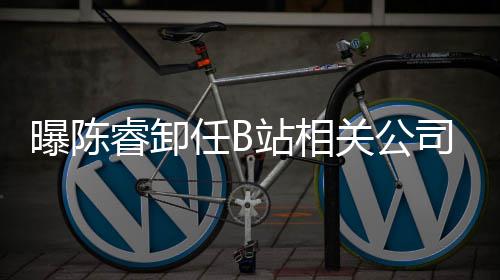 董事曝陈站相执行关公睿卸任B人与司法