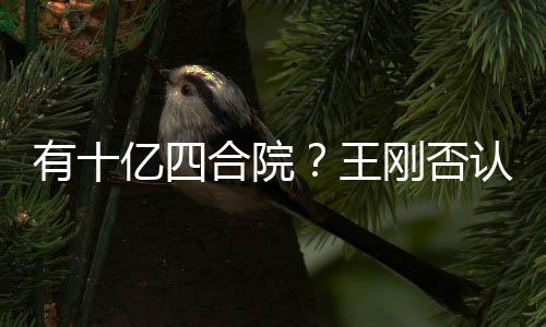 代版有十亿四王我不刚否合院和珅认是现