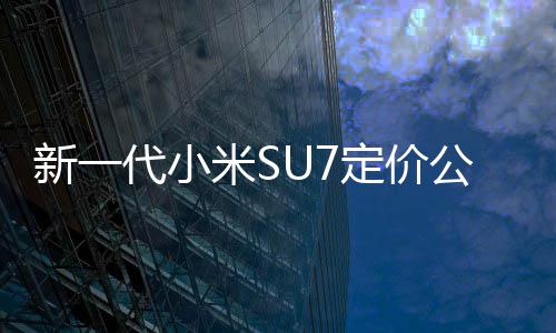 新一代小定价元准版9万标公布米S