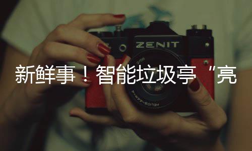 新鲜西铜垃圾亮相亭智能川事陕