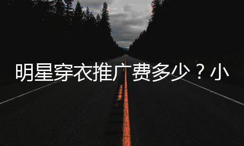 小爱豆私推广赚7万广一明星穿衣次可少费多服推