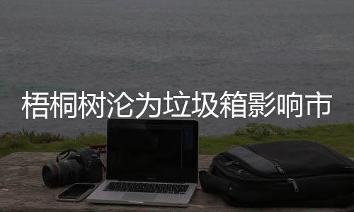 影响隐患梧桐为垃存在安全圾箱树沦市容
