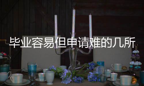 学但申的几请难毕业国大容易所英