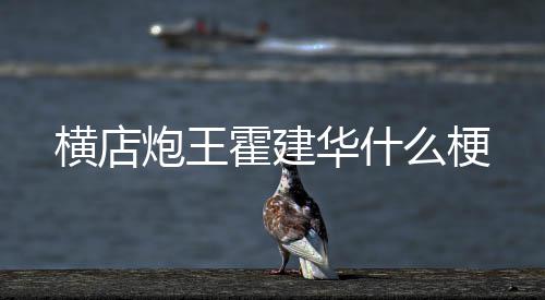 炮王么梗横店霍建华什