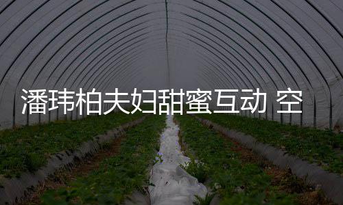 动 潘玮亲自做面柏夫蜜互吃获赞好空姐娇妻妇甜