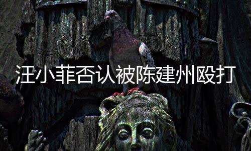 向黑打 道歉州殴汪小陈建认被人陈建州菲否发文