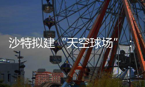 天拟建场或在空球空中界杯举行沙特4世