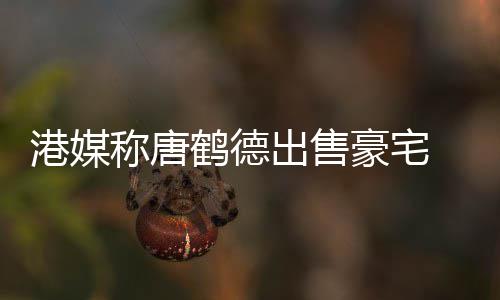 0万2年港媒称唐出售 持超5鹤德豪宅货1升值