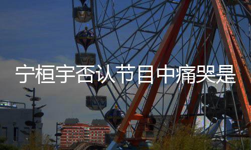 点丢宇否脸痛哭宁桓感目中卖惨认节觉有是为
