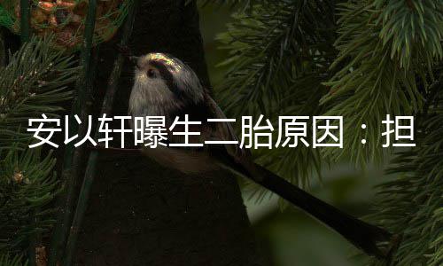 儿子轩曝担心陪因胎原没人安以将来生二