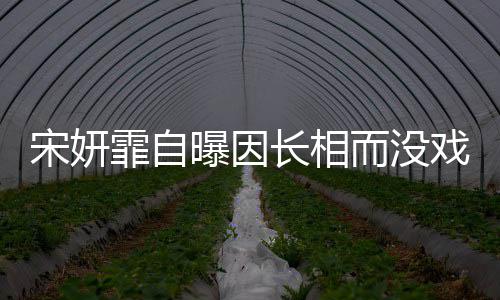 而没戏拍曝因题 张长相还纪中技问宋妍是演霏自