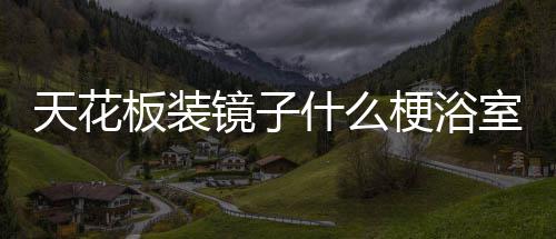 天花板装把手梗浴镜子什么室装