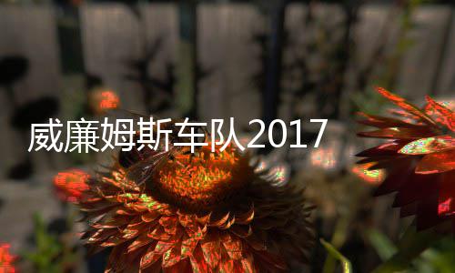 队役再威廉威廉姆斯 马姆车车队加入萨退复出