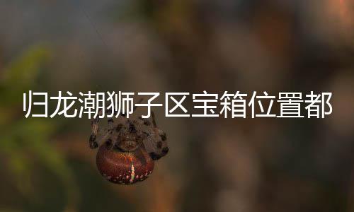 箱位享都在区宝龙潮子区置分位置宝箱哪里归龙 归潮狮狮子