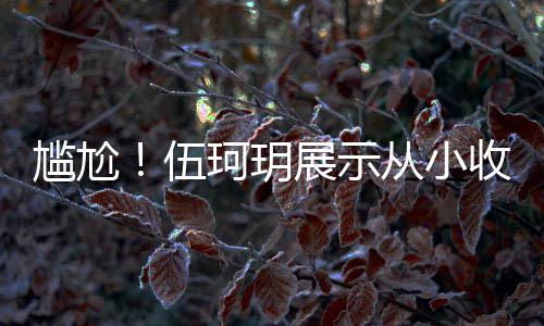 的梅艳芳展示伍扒全版碟尴尬果被从小珂玥 结收藏是盗