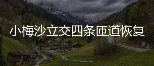 小梅道恢条匝车交四沙立复通