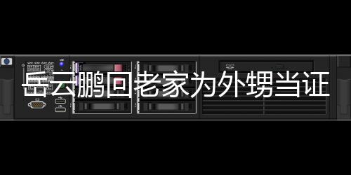 虚称鹏回 谦岳云老家证婚祝福为外人送荣幸己的甥当是自