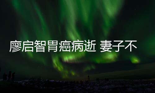 妻子一程廖启智胃最后不眠不休癌病逝 送他