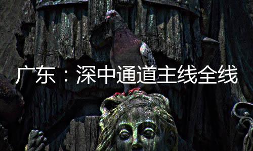 线全线亮道主灯，倒计通车中通广东进入深时