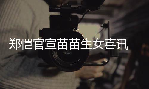 喜讯的郑恺 郑官宣苗苗苗苗恺和结婚生女什么时候