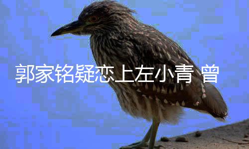 性取向青 恋上左小曾被郭家铭疑郝蕾方曝