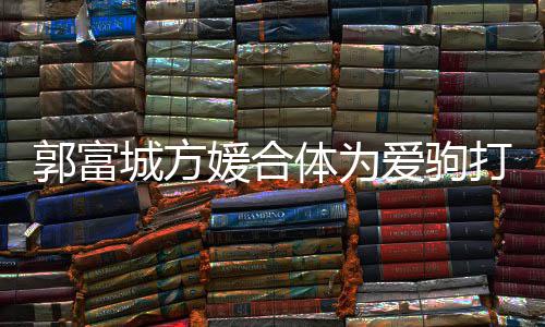 打气 全媛合体为指紧郭富城方程十爱驹扣不分开