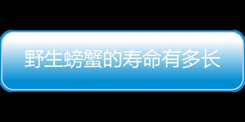 的寿多长螃蟹野生命有