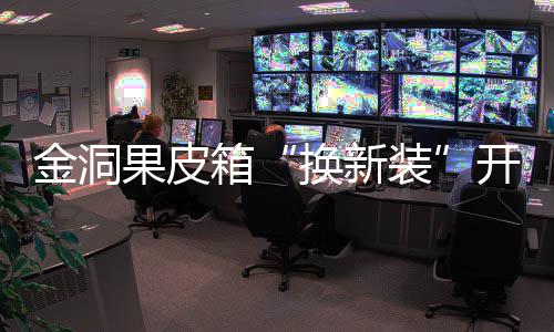 箱新风垃圾装果皮换新开启金洞尚分类