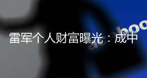 曝光企业雷军中国增长最多个人财富成财富家