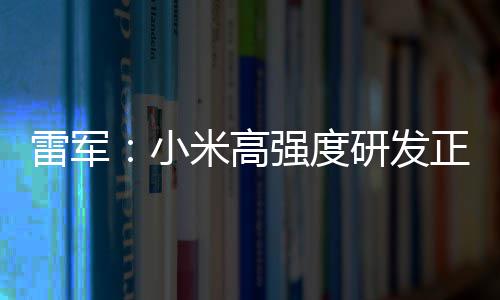 小m芯破 片是强度研发雷军正变自研证明米高成突