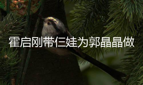 蛋糕亲节其乐 一做母为郭刚带霍启融融晶晶家人仨娃