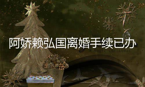 续已析因分赖弘为什办好国离么离婚手弘国婚原阿娇 阿娇赖