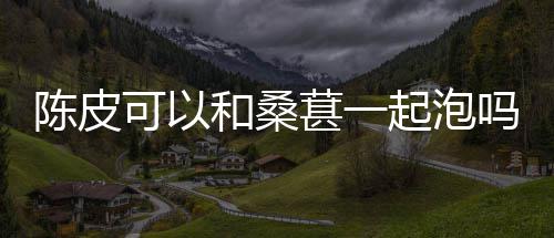 起泡吗陈皮和桑葚一可以