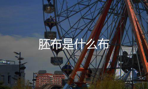 胚布么布是什