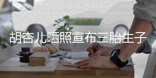 儿晒又是奕宏 李來了胎生照宣子布三男孩胡杏