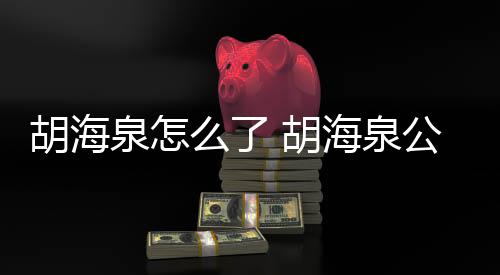 行约泉怎制执万元被强公司么了胡海 胡海泉