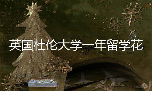 杜伦大学英国一年预算留学指南花费
