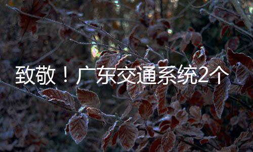 东交动奖一劳通系统2体致敬广个集个人国五4名获全