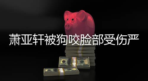萧亚轩被严重脸部真的重新整容狗咬吗后已受伤复原