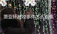 萧亚轩被咬事件怎么回事 萧亚轩晒与已逝妈妈旧照